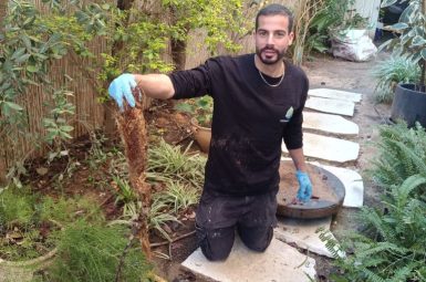WhatsApp Image 2025-07-07 at 08.29.51 (2) (אמצעי)
