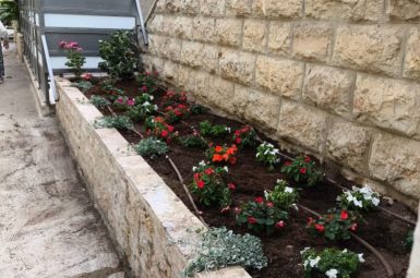 WhatsApp Image 2025-07-07 at 16.53.26 (1) (אמצעי)