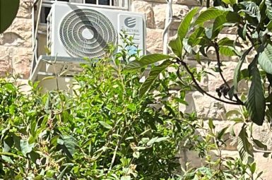 WhatsApp Image 2025-07-10 at 14.56.51 (אמצעי)