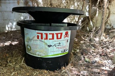 WhatsApp Image 2025-07-15 at 17.06.10 (1) (אמצעי)
