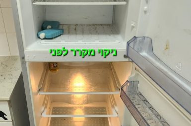 WhatsApp Image 2025-07-16 at 14.10.38 (אמצעי)