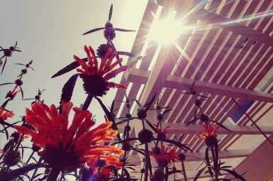 WhatsApp Image 2025-07-21 at 15.12.51 (אמצעי)