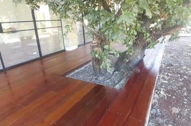 WhatsApp Image 2025-07-21 at 15.14.04 (1) (אמצעי)