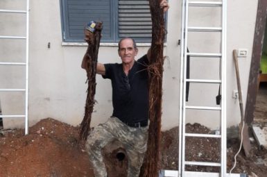 WhatsApp Image 2025-08-05 at 20.02.11 (קטן)